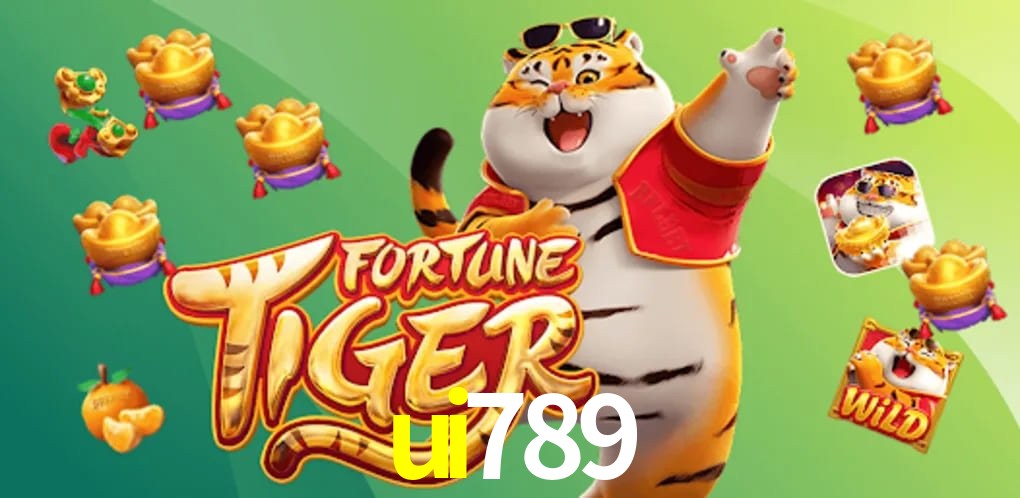 Bonus Features ui789